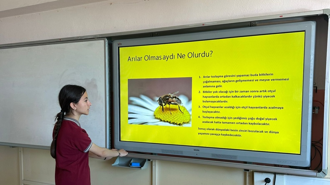20 Mayıs Dünya Arı Günü